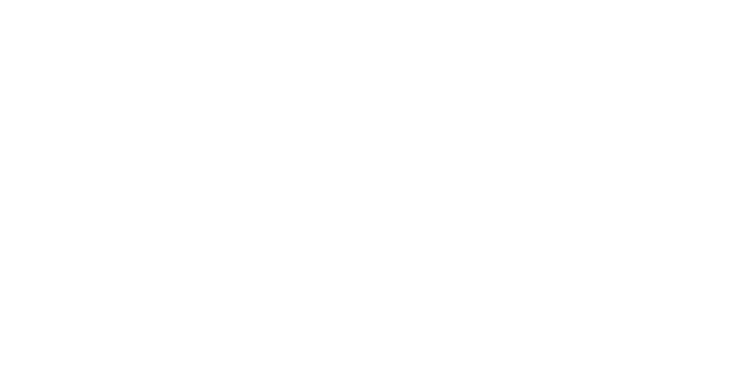 Fractal Brain Logo